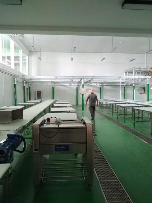 凱斯樂屠宰設(shè)備與肉類深加工設(shè)備成功落戶云南某廠，全面進(jìn)入安裝調(diào)試階段